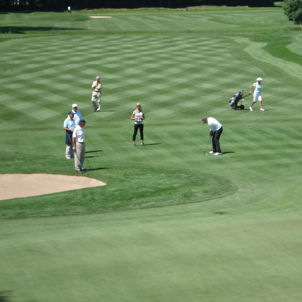 Choosing Golf Clubs by Skill Level