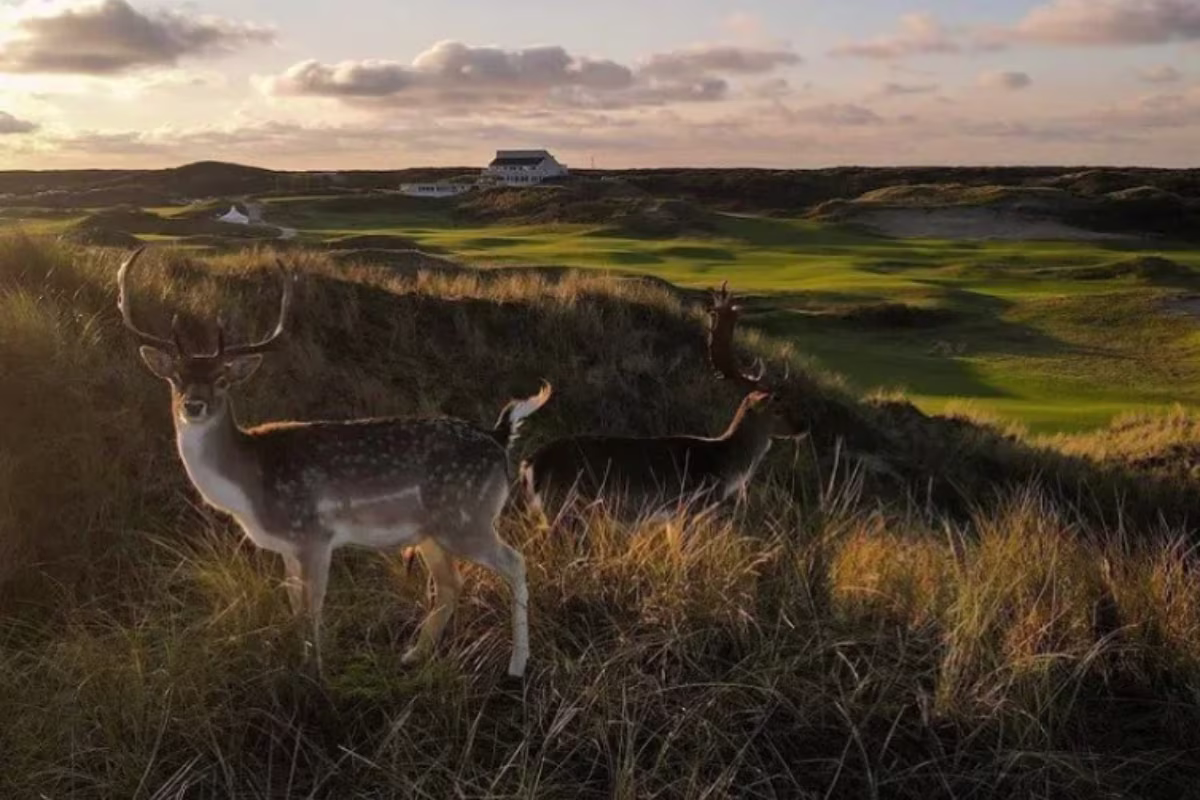 golf enthusiasts seeking adventure